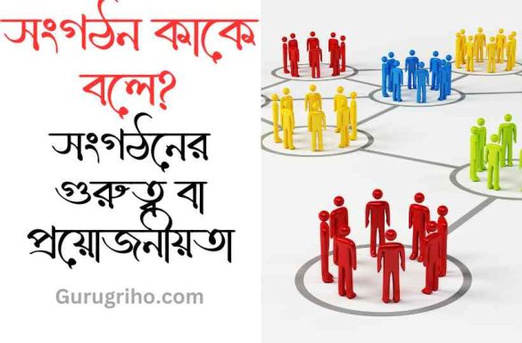 সংগঠন কাকে বলে সংগঠনের গুরুত্ব বা প্রয়োজনীয়তা