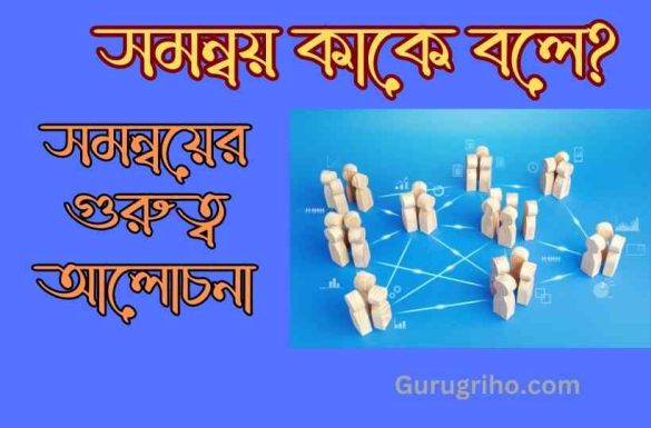 সমন্বয় কাকে বলে সমন্বয়ের গুরুত্ব