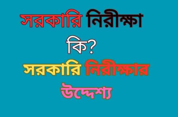 সরকারি নিরীক্ষা কি সরকারি নিরীক্ষার উদ্দেশ্য