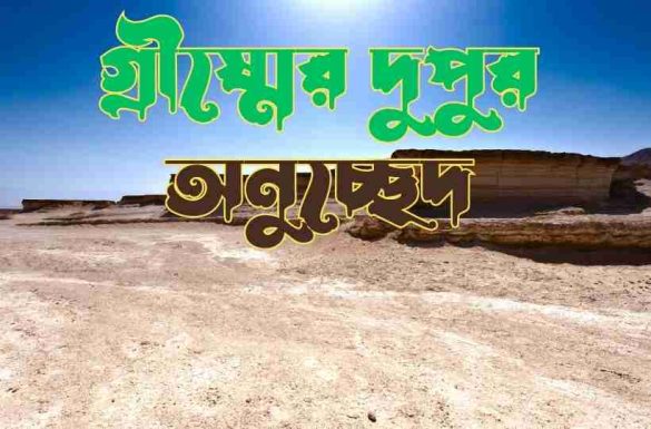 গ্রীষ্মের দুপুর অনুচ্ছেদ