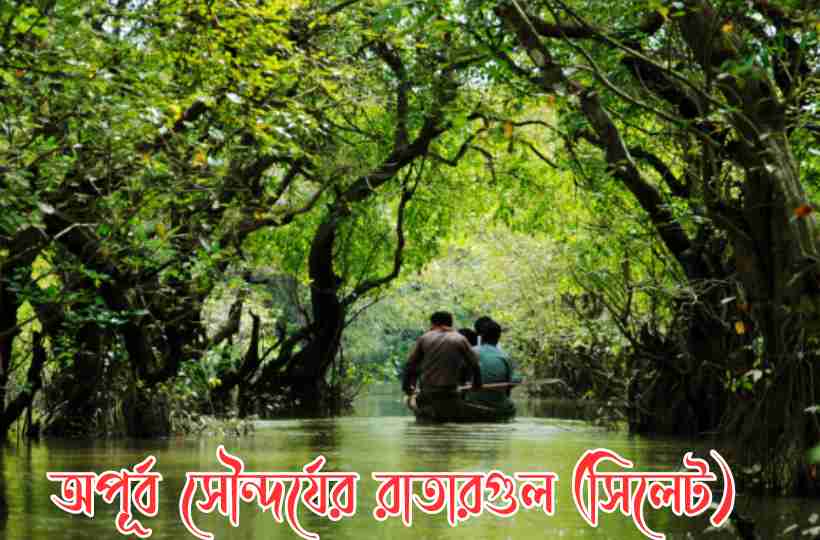 সিলেটের রাতারগুল, বাংলাদেশের পর্যটন শিল্প,