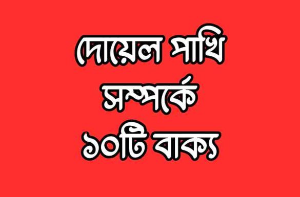 দোয়েল পাখি সম্পর্কে ১০টি বাক্য