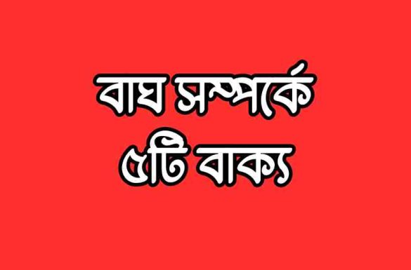 বাঘ সম্পর্কে ৫টি বাক্য বাঘ সম্পর্কে ৫টি বাক্য