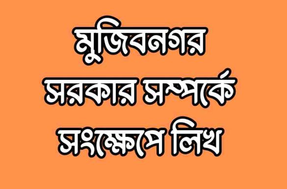 মুজিবনগর সরকার সম্পর্কে সংক্ষেপে লিখ, মুজিবনগর সরকার,