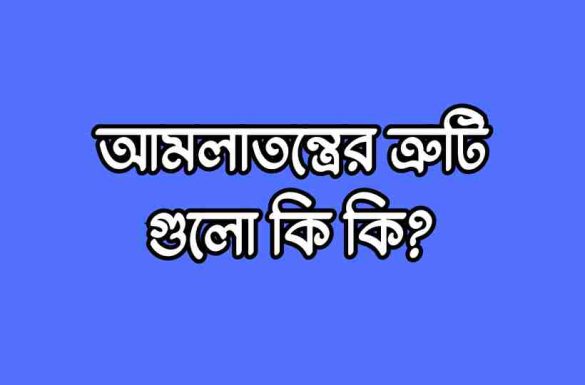 আমলাতন্ত্রের ত্রুটি গুলো কি কি