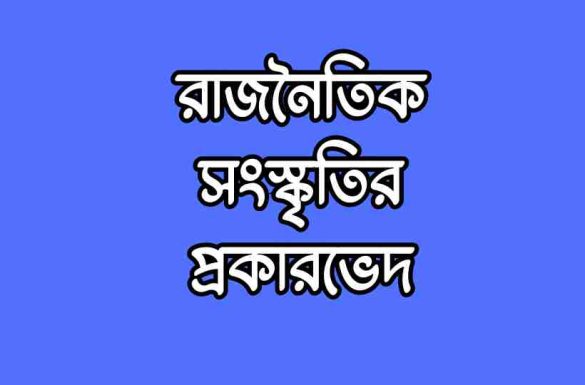 রাজনৈতিক সংস্কৃতির প্রকারভেদ