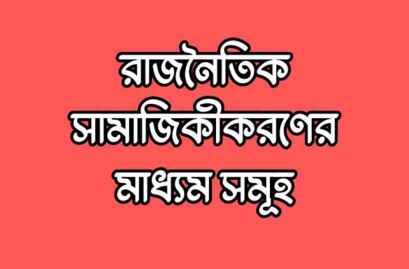 রাজনৈতিক সামাজিকীকরণের মাধ্যম সমূহ