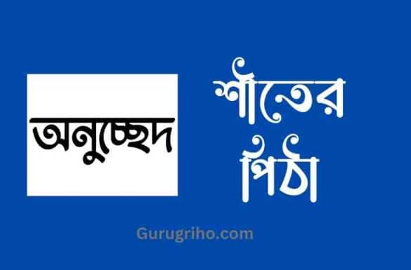 শীতের পিঠা অনুচ্ছেদ, শীতের পিঠা অনুচ্ছেদ class 6,