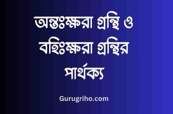 অন্তঃক্ষরা গ্রন্থি ও বহিঃক্ষরা গ্রন্থির পার্থক্য, অন্তঃক্ষরা গ্রন্থি কাকে বলে,
