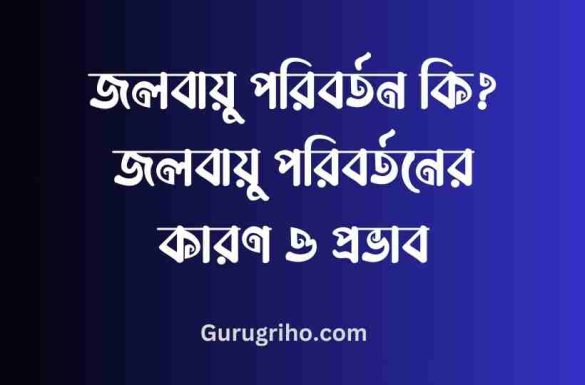 কারণে বনে অগ্নিকাণ্ড তথা দাবানলের সৃষ্টি হচ্ছে। এতে গাছপালা, পশুপাখির ব্যাপক ক্ষতি হচ্ছে। আবার লোকালয়ের কাছাকাছি বনে দাবানলের সৃষ্টি হলে মানুষেরও অনেক ক্ষতি হচ্ছে। ৬. বৈশ্বিক উষ্ণতা বৃদ্ধি: জলবায়ুর ক্রমবর্ধমান পরিবর্তনের ফলে বিশ্বের তাপমাত্রা বৃদ্ধি পাচ্ছে এবং নানা রকম সমস্যা দেখা দিচ্ছে। সম্প্রতি বিশ্ব জলবায়ু পরিবর্তন বিষয়ক এক প্রতিবেদনে বলা হয়েছে বিশ্বের তাপমাত্রা ২-৪ ডিগ্রি পর্যন্ত বৃদ্ধি পেতে পারে। ৭. নদনদীর প্রবাহ পরিবর্তন: জলবায়ু পরিবর্তনের ফলে নদনদীর স্বাভাবিক প্রবাহ বিঘ্নিত হচ্ছে। এতে নদনদীর গতিপথ পরিবর্তন হবে এবং প্রধান প্রধান নদীর পানি হ্রাস পেতে পারে। ৮. কৃষি উৎপাদন হ্রাস: জলবায়ু পরিবর্তনের প্রভাবে কৃষি উৎপাদন উল্লেখযোগ্যভাবে হ্রাস পাচ্ছে। এতে অপুষ্টি, দারিদ্র্য, দ্রব্যমূল্য বৃদ্ধি ইত্যাদি সমস্যা দেখা দিবে। ৯. সংক্রামক ব্যাধির বিস্তার জলবায়ু পরিবর্তন জনস্বাস্থ্যের ঝুঁকি বাড়িয়ে দিয়েছে বহুগুণ। জলবায়ু পরিবর্তনের ফলে ডায়রিয়া, কলেরা, নিউমোনিয়া, টাইফয়েড, হেপাটাইটিস বি, মেনিনজাইটিস, পোলিও ইত্যাদি রোগের প্রাদুর্ভাব ঘটছে। সেই সাথে সূর্যের অতি বেগুনি রশ্মির অনুপ্রবেশের ফলে স্কিন ক্যান্সার ও চোখের ছানি পড়ার মতো রোগ বৃদ্ধি পাচ্ছে।