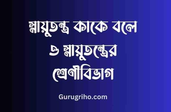 স্নায়ুতন্ত্র কাকে বলে, স্নায়ুতন্ত্র কি, স্নায়ুতন্ত্রের শ্রেণীবিভাগ