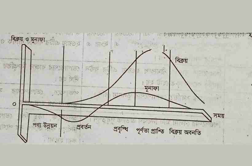 চিত্র পণ্যের জীবন চক্র,