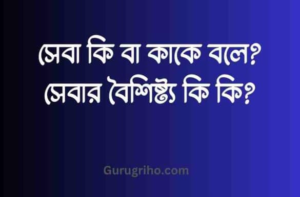 সেবা কি বা কাকে বলে, সেবার বৈশিষ্ট্য কি কি,
