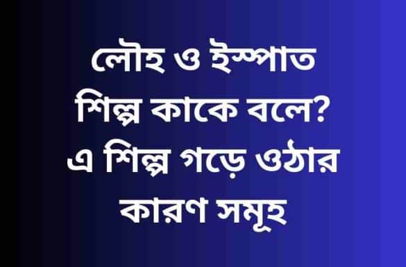 লৌহ ও ইস্পাত শিল্প কাকে বলে,